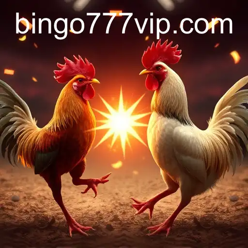 The Rise of Online Sabong: Exploring the Bingo777 Experience